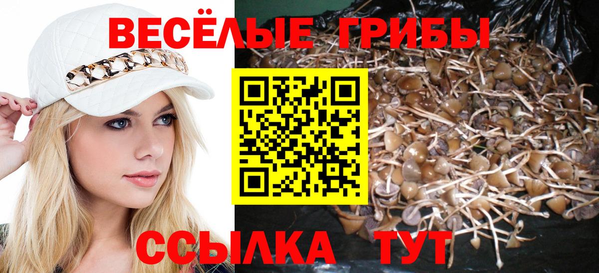 Псилоцибиновые грибы Magic Shrooms Волгодонск