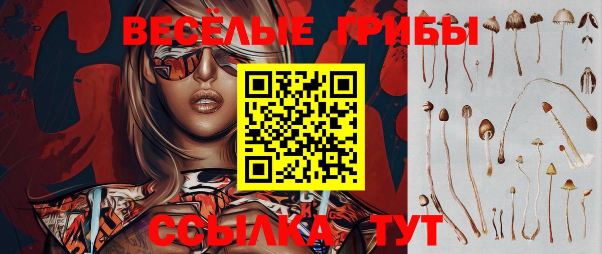 Галлюциногенные грибы мицелий  Вход с VPN  купить  сайты  Волгодонск 